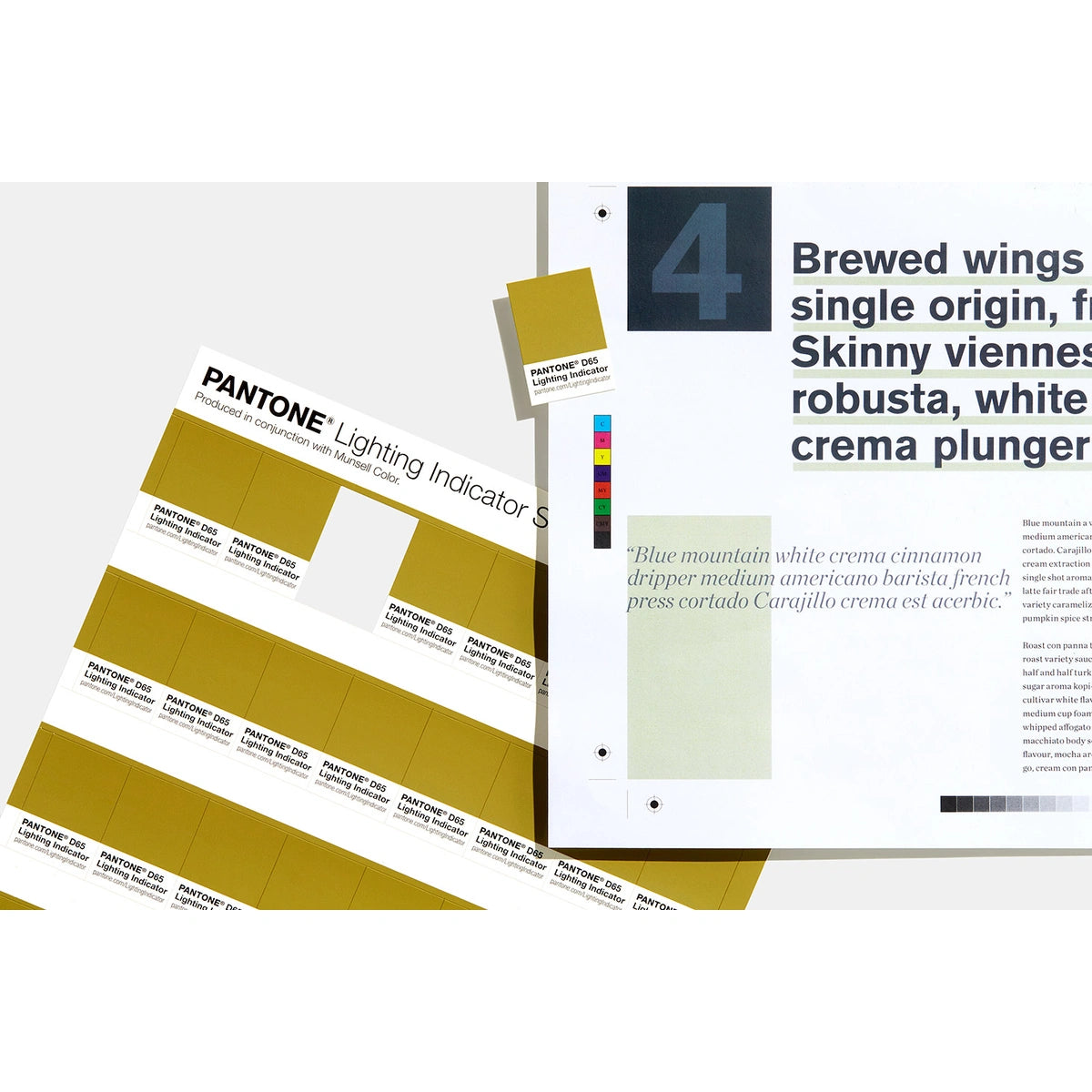 Pantone Lighting Indicator Stickers D65