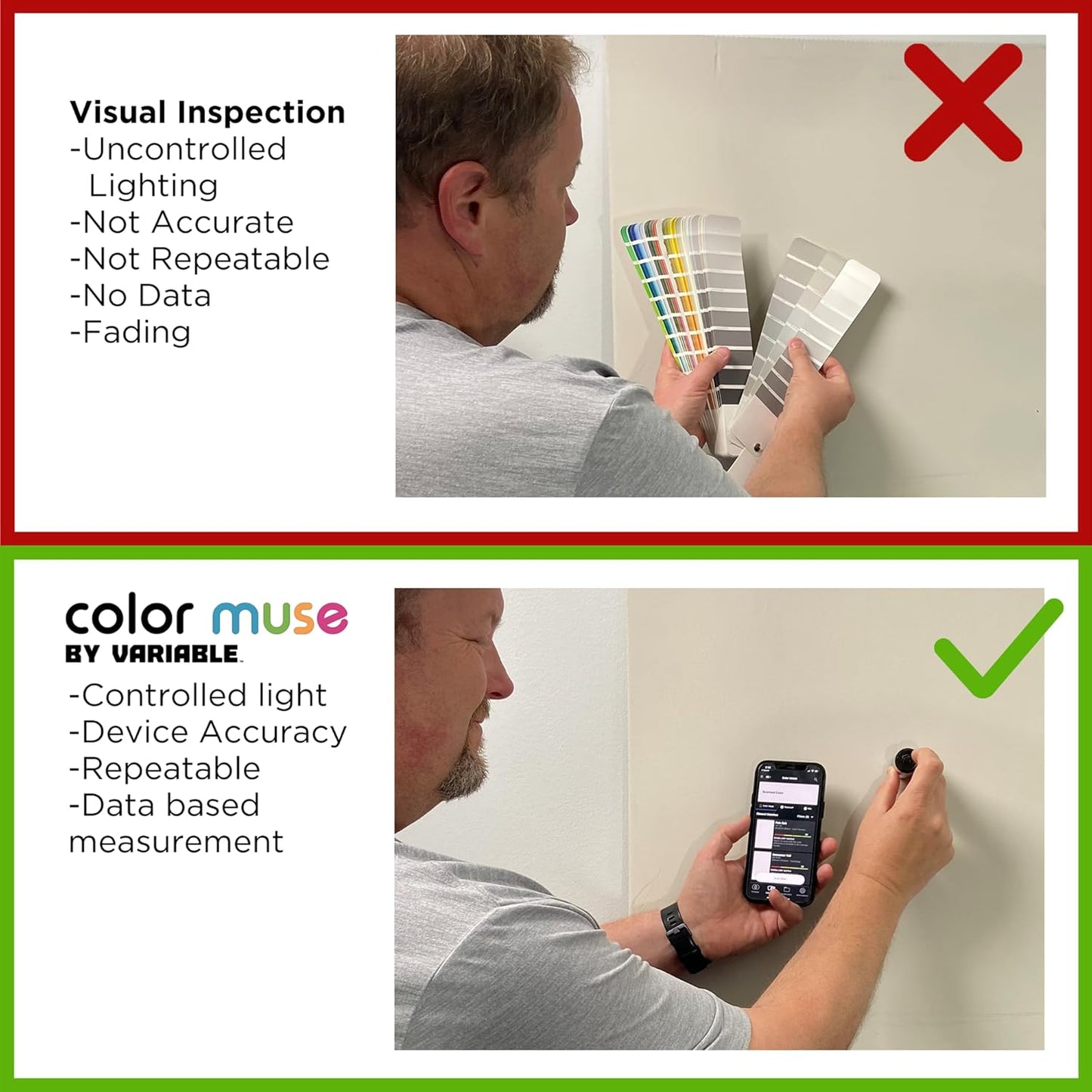 Color Muse 2
