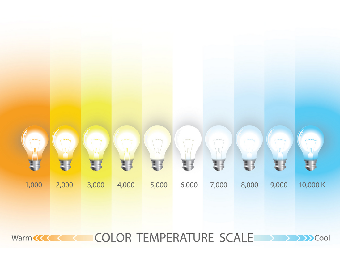 The Impact of Light on Color Perception